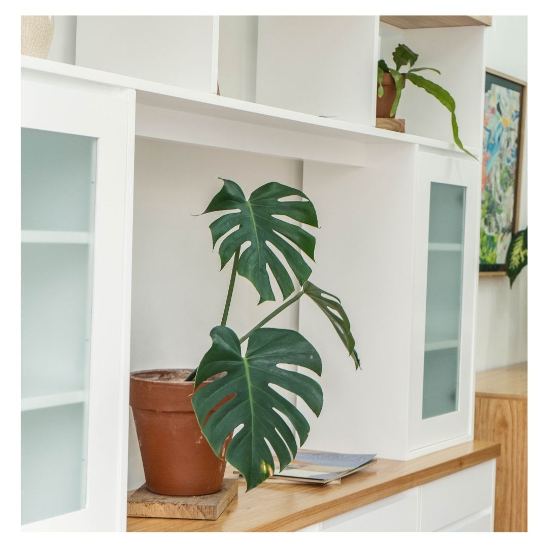 Modular combinado 200cm